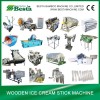 Ice cream stick making machine (detailed)