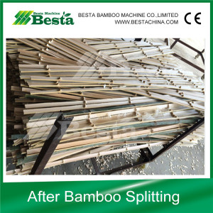 Bamboo Stick Machine, Bamboo Splitting Machine (ZP-2500)