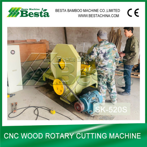 New Technology-CNC Wood Rotary Cutting Machine-Latest Design