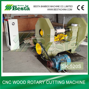 CHINA TOP QUALITY CNC Wood Rotary Cutting Machine (SK-520S)