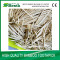 High quality Bamboo Toothpick WholeSale