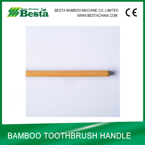 Bamboo Made Toothbrush
