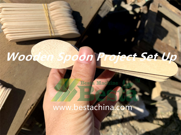 Disposable Wooden Spoon Making Project Set up
