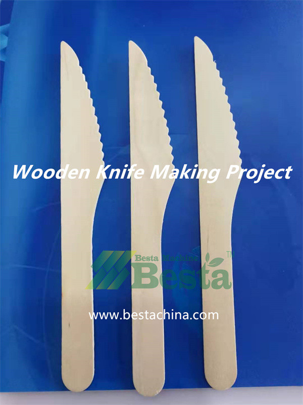 Disposable Wooden Knife Project Set up