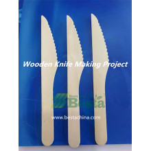 Disposable Wooden Knife Project Set up