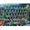 Artificial Flowers&Plants Market