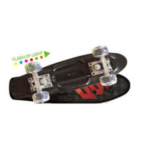 Foldable skateboard adult skateboard best skateboards 1705-T