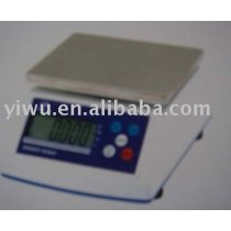 Electronic Scale