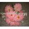 Sell Flower for Mixed Container in Yiwu China