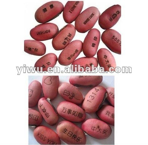 OEM growing beans or jack beans with any word you like with no MOQ