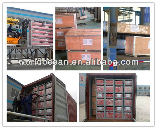 High quality Two post 4 ton car lift with CE WT4000-A with CE