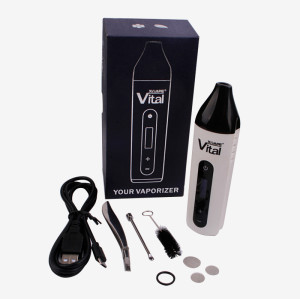 Xmax Vital high quality with wholesale price dry herb vaporizer