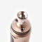 High quality XVAPE VISTA in Champagne  full quartz coil vaporizer pen