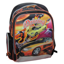 School Backpack for Teenage Kids (FWSB300030)