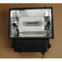 Panda electrodeless induction lamp for floodlight