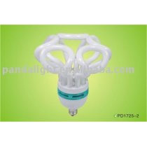 PD1725-2 energy saving lamp
