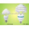CFL energy saving light