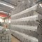High quality!!Tianyingtai ERW galvanized /Hot diped steel round pipe!!