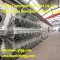 the best!! ERW galvanized /hot diped /pre-galvanized steel pipe!TYTGG!