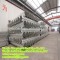 the best!! ERW galvanized /hot diped /pre-galvanized steel pipe!TYTGG!