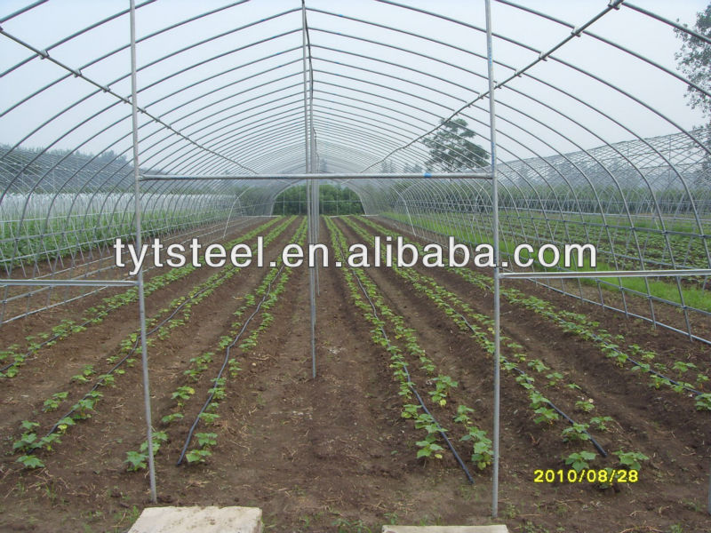 Single-Span Agricultural Greenhouses