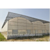 Multi-span tunnel film greenhouse