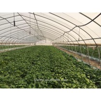 high Tunnel greenhouse