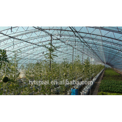 polythene greenhouse