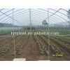 Single-Span Agricultural Greenhouses---TYTGG
