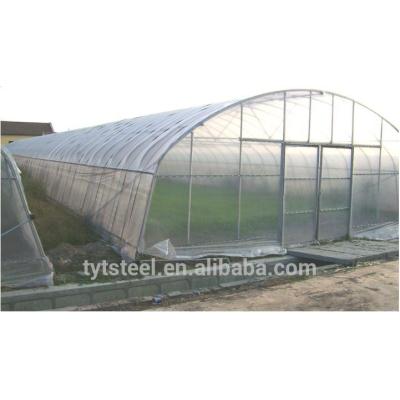 large agricultural greenhouse