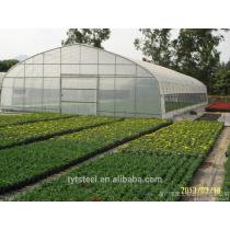 vegetable agricultural greenhouse