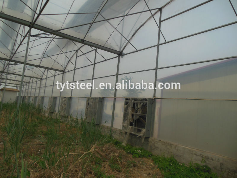 greenhouses for mushroom