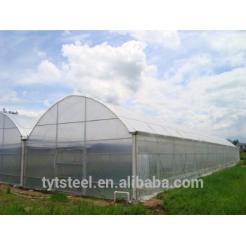 greenhouses for tomatoes