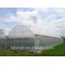greenhouses for tomatoes
