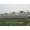 poly tunnel greenhouse