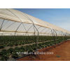 Agricultural tunnel greenhouse