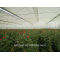 greenhouse for flower for sale