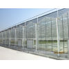 VENLO type glass greenhouse