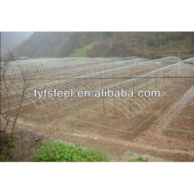 Agricultural Greenhouses
