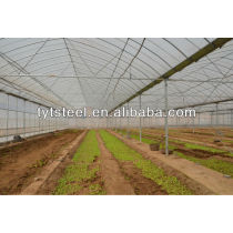 Multi-Span Agricultural Greenhouses