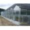 Polycarbonate Sheet Greenhouse