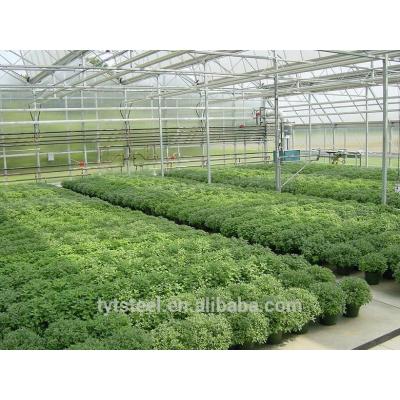 large span PC sheet greenhouse