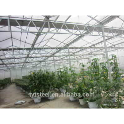 VENLO Glass Cover greenhouse