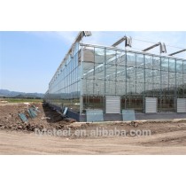 large glass agricultural greenhouses