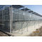 Larger Multi-span Glass Greenhouse