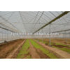 Multi-Span Agricultural Greenhouses---TYTGG