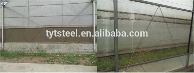 multi-span commercial polythene greenhouse