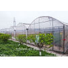 multi-span commercial greenhouse sale
