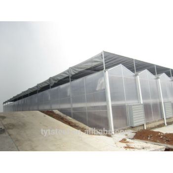 Multi-span PC sheet greenhouse