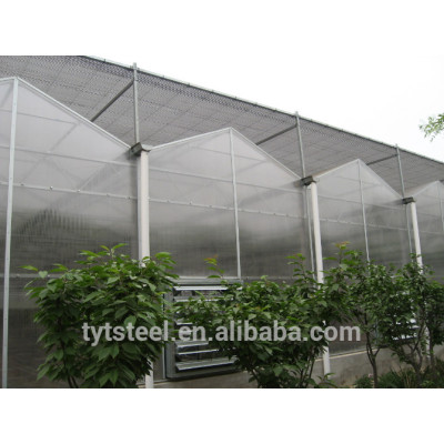 Venlo greenhouse sale